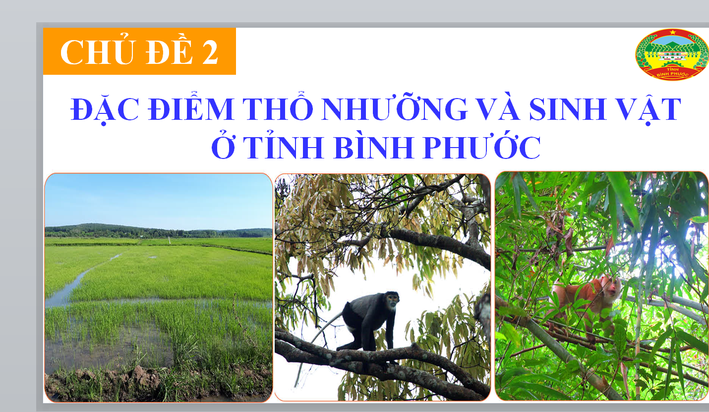 POWERPOINT GIÁO ÁN GIÁO DỤC ĐỊA PHƯƠNG LỚP 8 TỈNH BÌNH PHƯỚC, CHỦ ĐỀ 2: ĐẶC ĐIỂM THỔ NHƯỠNG VÀ SINH VẬT Ở TỈNH BÌNH PHƯỚC