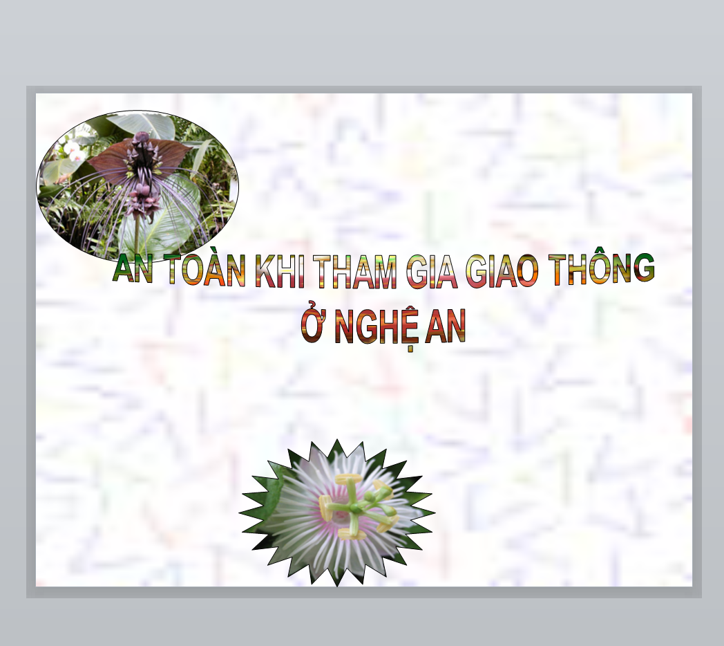 POWERPOINT GIÁO ÁN GDDP 6 Chủ đề AN TOÀN KHI THAM GIA GIAO THÔNG Ở NGHỆ AN