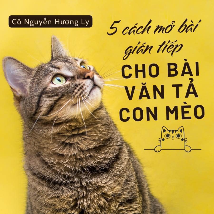 TÀI LIỆU CÁCH Mở bài gián tiếp cho bài văn tả con mèo