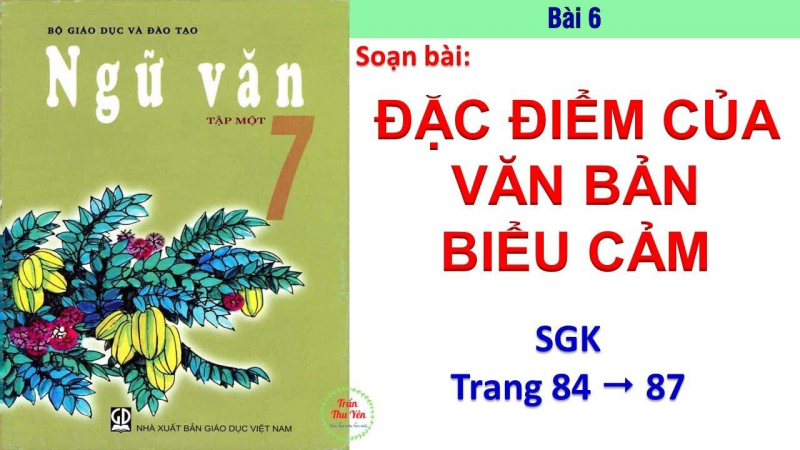 bai-soan-dac-diem-cua-van-ban-bieu-cam-so-4-584423.jpg