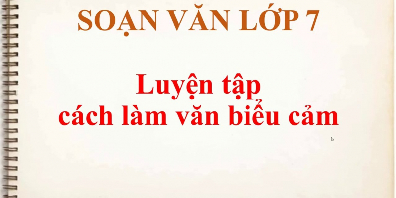 bai-soan-luyen-tap-cach-lam-bai-van-bieu-cam-lop-7-hay-nhat-585105.jpg