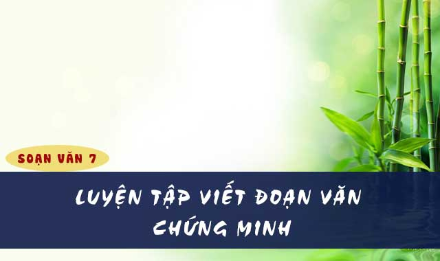 bai-soan-luyen-tap-viet-doan-van-chung-minh-lop-7-hay-nhat-595143.jpg