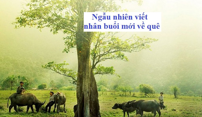 bai-soan-ngau-nhien-viet-nhan-buoi-moi-ve-que-so-2-580758.jpg