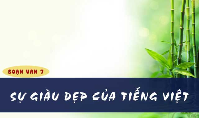 bai-soan-su-giau-dep-cua-tieng-viet-cua-dang-thai-mai-lop-7-hay-nhat-582243.jpg