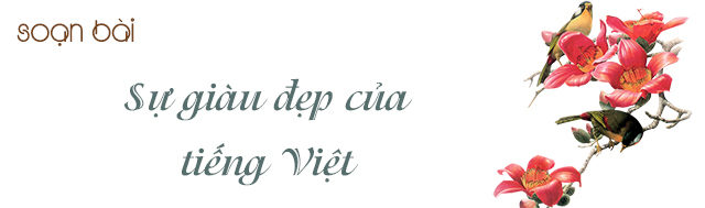 bai-soan-su-giau-dep-cua-tieng-viet-so-4-582246.jpg