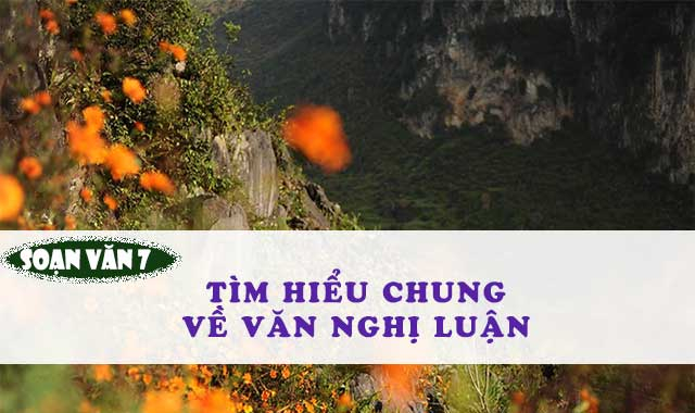 bai-soan-tim-hieu-chung-ve-van-nghi-luan-lop-7-hay-nhat-586904.jpg