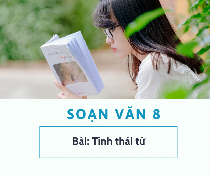 bai-soan-tinh-thai-tu-so-2-489829.jpg