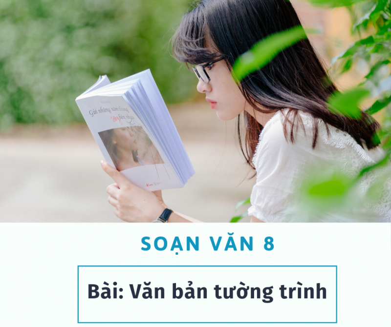 bai-soan-van-ban-tuong-trinh-so-3-528962.jpg
