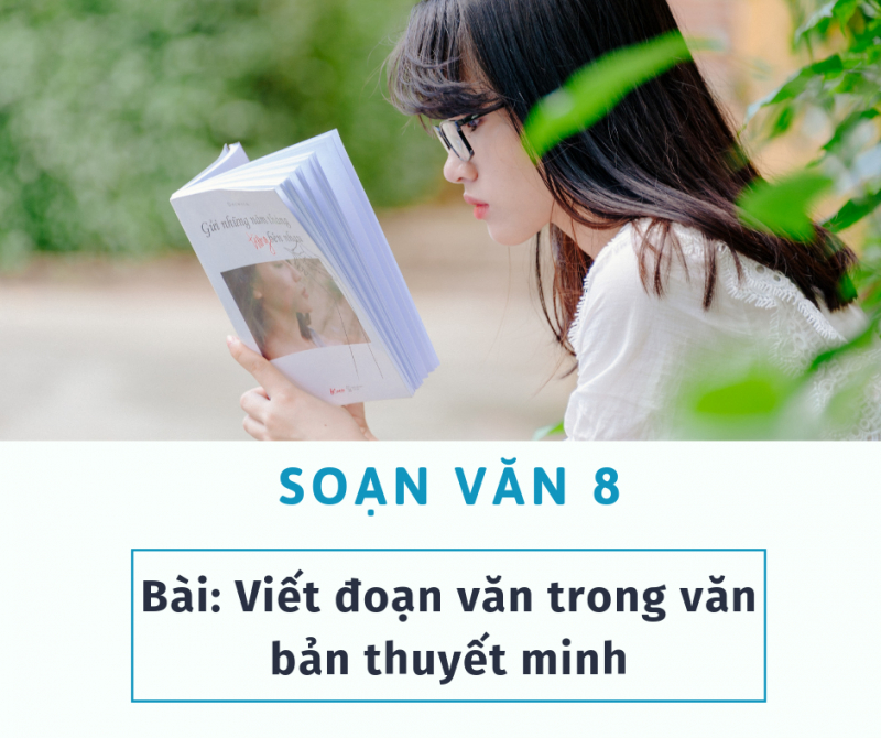 bai-soan-viet-doan-van-trong-van-ban-thuyet-minh-lop-8-hay-nhat-515144.jpg