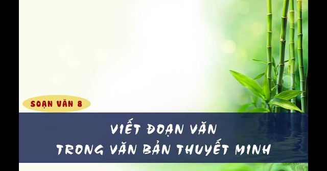 bai-soan-viet-doan-van-trong-van-ban-thuyet-minh-so-3-515147.jpg
