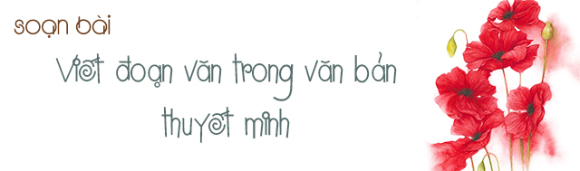 bai-soan-viet-doan-van-trong-van-ban-thuyet-minh-so-4-515148.jpg