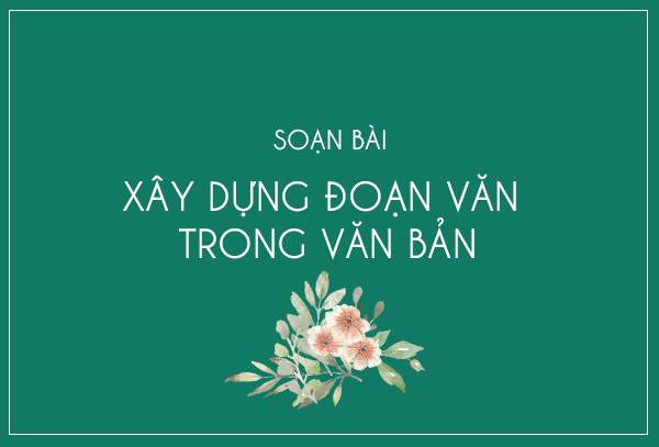 bai-soan-xay-dung-doan-van-trong-van-ban-so-4-485447.jpg
