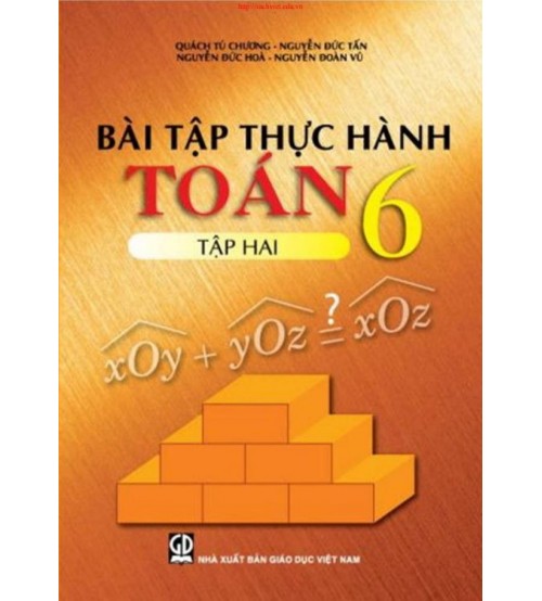 Bai-tap-thuc-hanh-toan-6-tap-2-500x554.jpg
