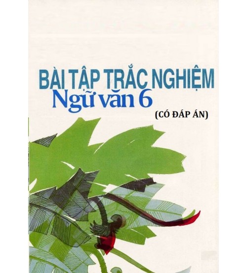 Bai-tap-trac-nghiem-ngu-van-6-500x554.jpg