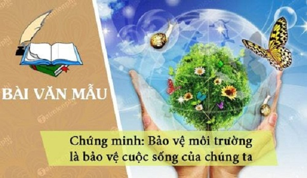 bai-van-chung-minh-bao-ve-moi-truong-la-bao-ve-cuoc-song-cua-chung-ta-lop-7-hay-nhat-596486.jpg