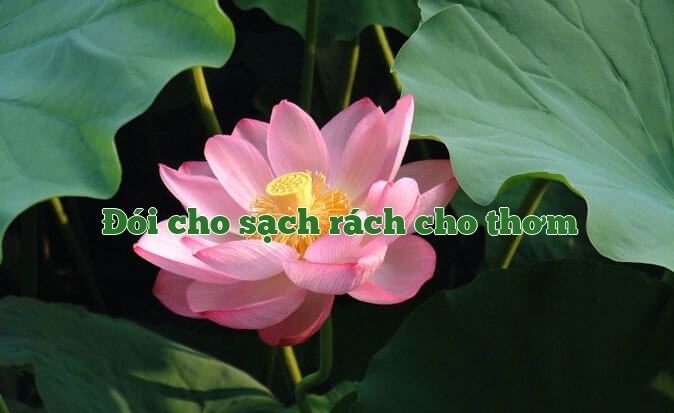 bai-van-chung-minh-cau-tuc-ngu-doi-cho-sach-rach-cho-thom-so-8-596933.jpg