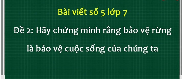 bai-van-chung-minh-rang-bao-ve-rung-la-bao-ve-cuoc-song-cua-chung-ta-so-7-596017.jpg