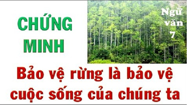 bai-van-chung-minh-rang-bao-ve-rung-la-bao-ve-cuoc-song-cua-chung-ta-so-8-596018.jpg