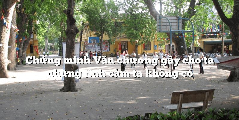 bai-van-chung-minh-rang-van-chuong-gay-cho-ta-nhung-tinh-cam-ta-khong-co-so-7-596304.jpg