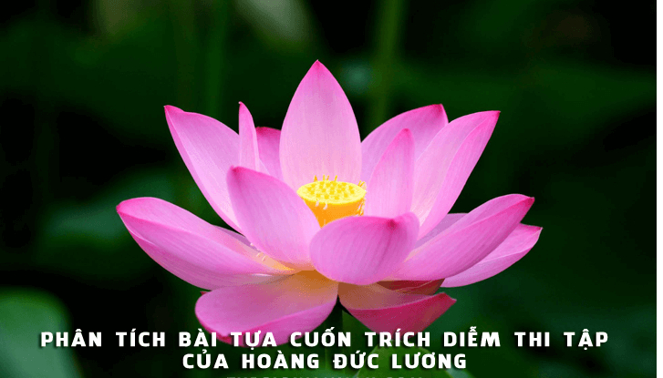 bai-van-phan-tich-tac-pham-trich-diem-thi-tap-cua-hoang-duc-luong-399438.jpg