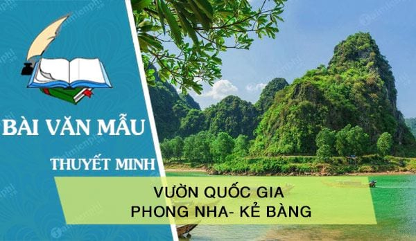 bai-van-thuyet-minh-ve-dong-phong-nha-ke-bang-lop-8-hay-nhat-519910.jpg