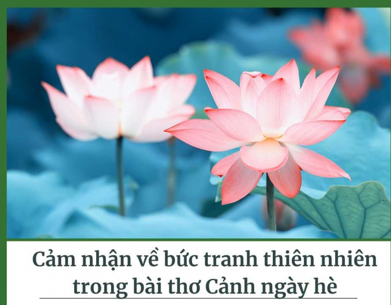 cam-nhan-ve-buc-tranh-thien-nhien-trong-bai-tho-canh-ngay-he-so-3-630622.jpg