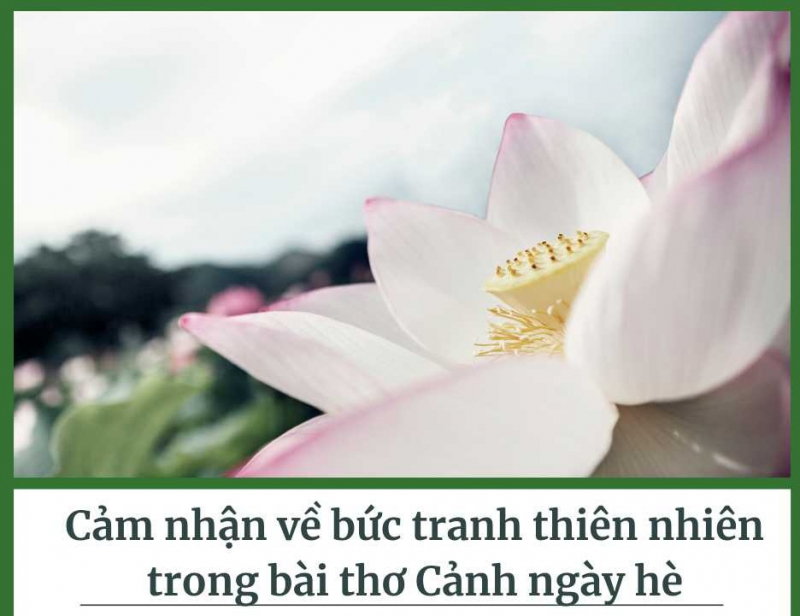 cam-nhan-ve-buc-tranh-thien-nhien-trong-bai-tho-canh-ngay-he-so-6-630628.jpg