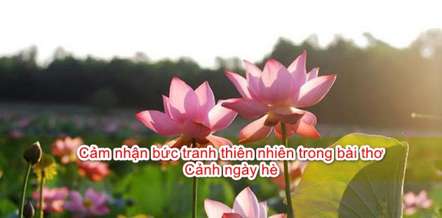 cam-nhan-ve-buc-tranh-thien-nhien-trong-bai-tho-canh-ngay-he-so-9-630635.jpg