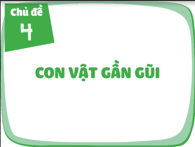 giao-an-powerpoint-my-thuat-lop-1-sach-cung-hoc-de-phat-trien-nang-luc-4.png