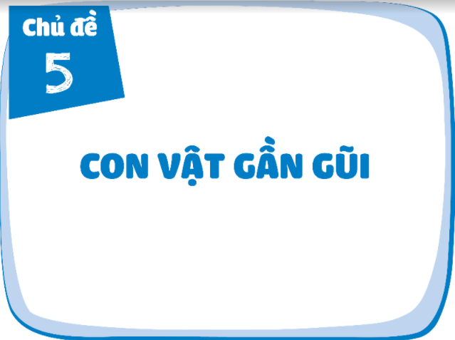 giao-an-powerpoint-my-thuat-lop-1-sach-cung-hoc-de-phat-trien-nang-luc-5.png