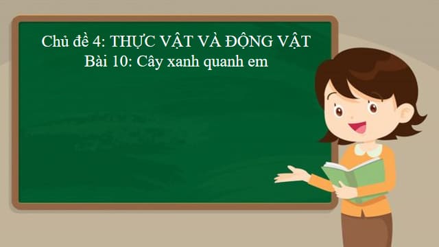 giao-an-powerpoint-tu-nhien-xa-hoi-lop-1-canh-dieu-4.jpg