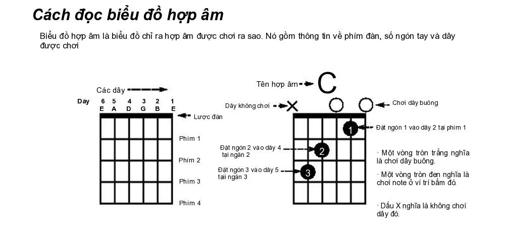 hop-am-guitar-co-ban-1000x452.jpg