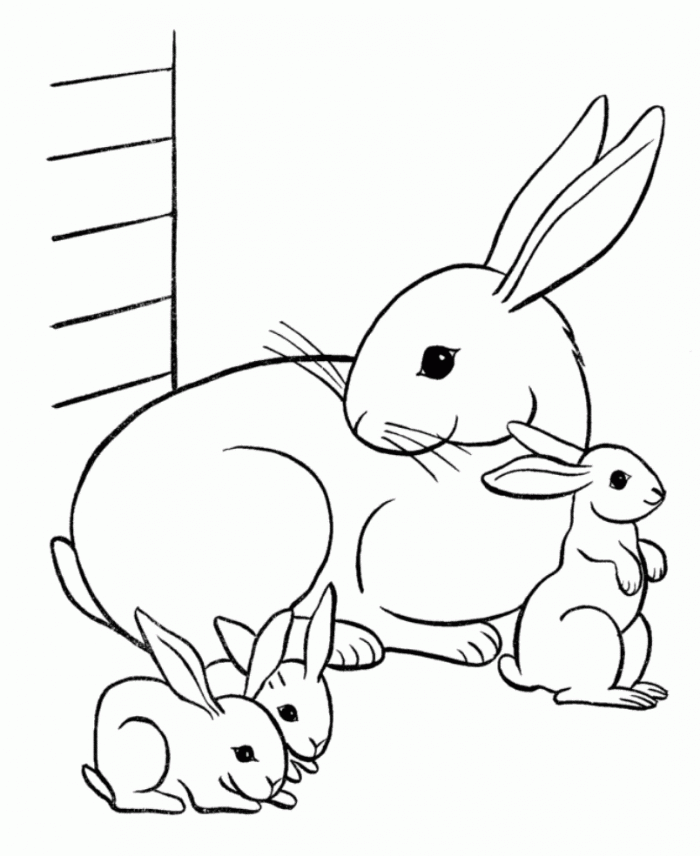 Tranh Tô Màu Con Thỏ Cho Bé 🐰Tuyển Tập Tranh Tô Màu Con Thỏ Và Củ Cà Rốt  Siêu Đáng Yêu - Tranh Tô Màu - Yopo.Vn - Diễn Đàn Tài Liệu -
